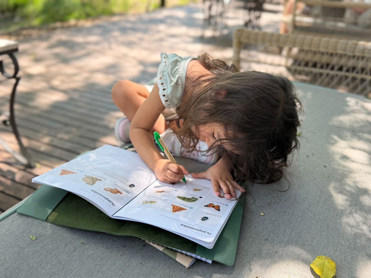 Child marking animals in her travel book on a deck