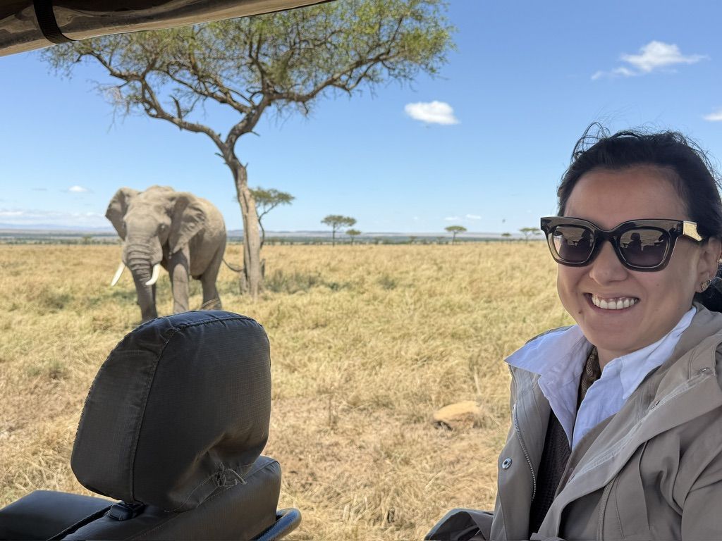 Lisa num safári, com um elefante ao fundo